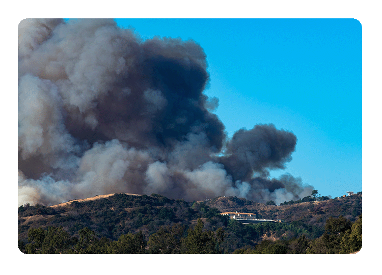 Newsom grants up to a year of mortgage relief to Los Angeles fire victims